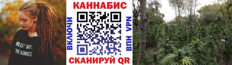 Alpha PVP Кохма