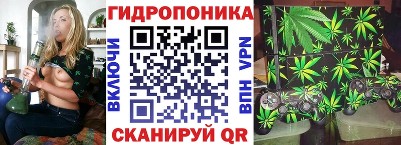 Бошки Шишки марихуана Кохма