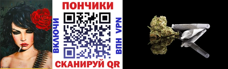 закладки  Кохма  ссылка на мегу маркетплейс  Конопля сатива 